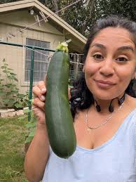 Why are our zucchini plants doing this?