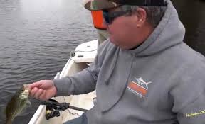 Rumble Fish (@rumblefishing) • Instagram photos and videos