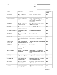 Contains organelles pads and supports organelles inside the cell. 32 Cell Organelle Research Worksheet Answer Key Worksheet Project List