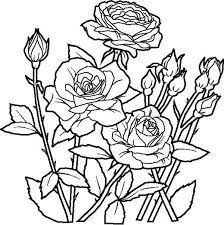 Rose Flower In The Garden Coloring Page Kids Play Color In 2020 Rose Coloring Pages Flower Coloring Pages Garden Coloring Pages