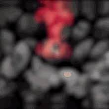 Itachi Susanoo Gifs Tenor Itachi susano'o ninja as he is not only the strongest ninja in the anime but also in naruto online just put itachi uchiha susano'o on the front line and get the right healing ninjas to keep him alive to. itachi susanoo gifs tenor