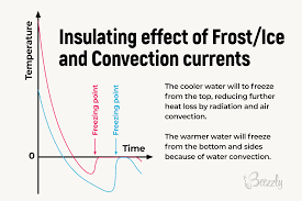How to calculate net income (with examples). How Long Does It Take For Water To Freeze Beezzly