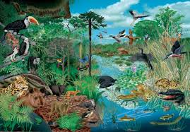 Así mismo, se desglosan varios tipos de ecosistemas que no solo varían según su origen; Que Es Un Ecosistema Para Ninos Definicion Funcionamiento Tipos Y Mas