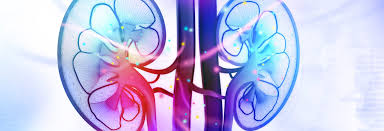 Alport Syndrome Rare Genetic Kidney Disease With Hearing Loss Alport Syndrome News