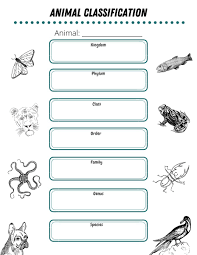Animal Classification Worksheet In 2020 Animal Classification Animal Classification Worksheet Animal Kingdom Classification Chart