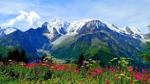 Maybe you would like to learn more about one of these? Hd Wallpaper Valley Of Flowers National Park Trek In Uttarakhand India Meadow Alpine Flowers Mountains With Snow Peaks Landscape Hd Desktop Backgrounds 1920 1080 Wallpaper Flare