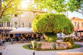 Check spelling or type a new query. 15 Best Things To Do In Salon De Provence France The Crazy Tourist