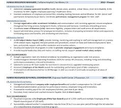 3 Resume Work History Examples And How To Write Yours