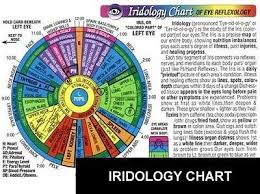 Iridology Chart Of Eye Reflexology Rainbow Coded Wall Chart 9781589243095 Ebay