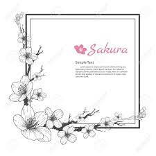 Find images of flower drawing. Flower Frame Of Sakura Drawing And Sketch On White Background Royalty Free Cliparts Vectors And Stock Illustration Image 87354112
