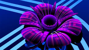 We did not find results for: Purple Neon Wallpaper Computer Novocom Top