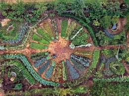 Permaculture Gardening Garden Design Vegetable Layout 28 In 2020 Permaculture Gardening Garden Layout Urban Garden