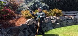 Introducing a new approach to pest control! A Pest Control Comapany You Can Trust All Seasons Pest Control