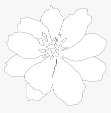 Went there for a nose piercing, i like it. Clip Art Clip Art Line Tattoo Flower Clematis Hd Png Download Kindpng