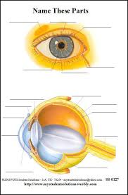 eye 6 x 9 chart student solutions 020380 rainbow resource