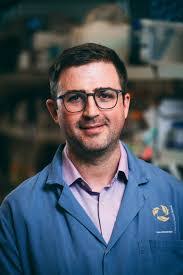 Shane Harding's Instagram, Twitter & Facebook