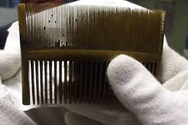 Head Lice History Head Louse Head Lice Comb Louse