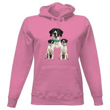 Image result for auvergneský ohař