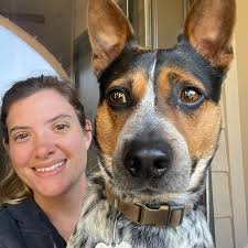 What are good dog boarding options for bully pits in Conroe, Texas?