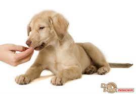 Blue Seal Dog Food Review Ingredients Analysis