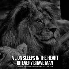 If you're like most people, the end of the year is a time for reflection. 30 Motivational Lion Quotes In Pictures Courage Strength