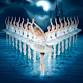 World Ballet Company - Swan Lake event image