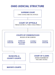 Ohios Court System Judicial Votes Count