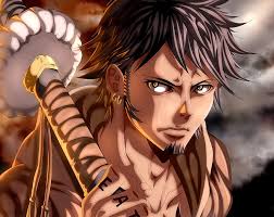 Anime, Tattoo, Hat, Sword, Katana, Brown Hair, One Piece, Trafalgar Law,  Bepo (One Piece), HD wallpaper