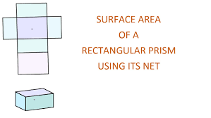 2 width, 3 height and 6 base (ie length). Calculating The Surface Area Of A Rectangular Prism Youtube