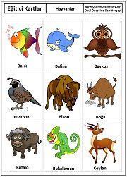 okul oncesi hayvanlar egitici kartlari hayvanlar hayvan kartlari kartlar