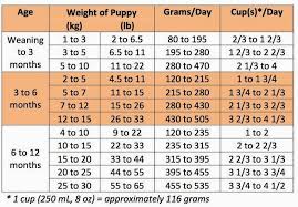 66 Scientific How Much To Feed Your Puppy