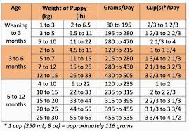 66 scientific how much to feed your puppy