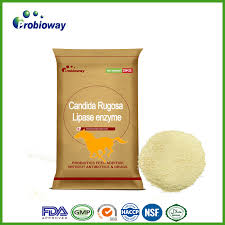 Rugos anti air / 30+ ide keren apakah stiker rugos bisa. China Natural Organic Ranch Horses Lipase Candida Rugosa Equine Acidifying Agent China Feed Additives Animal Feeds