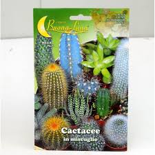 Vasi dal diametro di 30 cm, per la coltivazione in aiuole la distanza tra una pianta e l'altra è di 30 cm. Cactaceae Seeds For Sale Seeds Online Mondo Piante