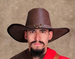 Van H Distressed Hat, katoenmix, vampierjacht cosplay, kerstcadeau voor  hem, geeky cadeau, techneut gamer