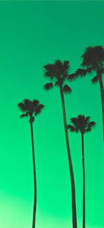 Best Minimalist Iphone 11 Wallpapers Hd 2020 Ilikewallpaper