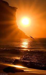 1 Ranked Accurate Psychic Reader Spell Caster Reiki Psychic Holistic Healer Kenneth Whatsapp 27843769238 E Ma Beautiful Sunset Beautiful Nature Sunset