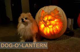 Posts about dog pumpkin stencils written by meggoesprimal. Dog Pumpkin Carvings To Showcase Your Puppy Love This Halloween