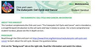 Start studying cell cycle answer key. Solved Hhmi Biolnteractive G1 Click And Learn The Eukaryo Chegg Com