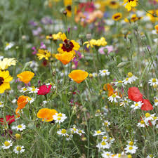 But there is plenty to do still, from continuing to enjoy your harvest, to preparing for the coming months and thinking ahead to next year. Jobs To Do In The Garden In September September Gardening Jobs