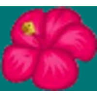 Maybe you would like to learn more about one of these? In Bloom Flowers Linkedin