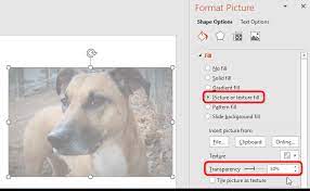How To Make An Image Transparent In Powerpoint Powerpoint Tips And Tutorials