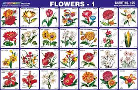 S P E C T R U M Spectrum Charts Flower Names