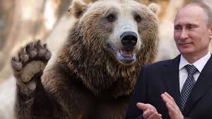 Actual footage of amazing leader vlad putin fighting evil american bear pig swine in fight promo from glorious motherland russia Putin Holds A Show Stopping Bear Loving Press Conference Youtube