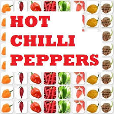 16 Tips On Growing Hot Chilli Peppers In A Cold Climate 4