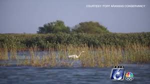 The ferry is free and runs 7 days a week, 24 hours a day. Port Aransas Conservancy Fighting To Block Port Of Corpus Christi Desalination Plant