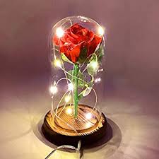 4.7 out of 5 stars 36. Beauty And The Beast Rose Red Silk Rose That Lasts Forever In A Glass Dome With Led Lights Gift For Mothers Day Valentine S Day Wedding Anniversary Walmart Com