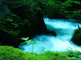 The japanese can close their civilization with an isolationist foreign policy. Hd Wallpaper Oirase Mountain Stream Japan River Photo Asia Nature Rivers Wallpaper Flare