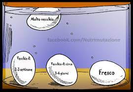 Check spelling or type a new query. Quanto Sono Fresche Queste Uova Hacking In Cucina
