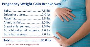 If you're in week 16, you're actually 15 weeks and some days pregnant. Healthy Weight Gain During Pregnancy Ask Dr Sears